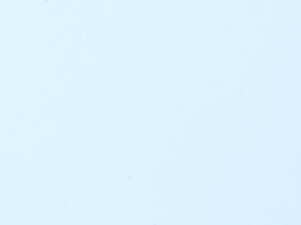 RAL 9010 Pure White — Matte